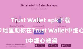 Trust Wallet apk下载 5个步地匡助你在Trust Wallet中细心被盗