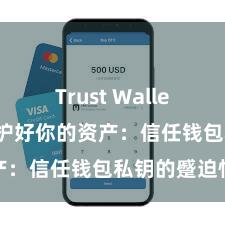 Trust Wallet最新版 保护好你的资产：信任钱包私钥的蹙迫性